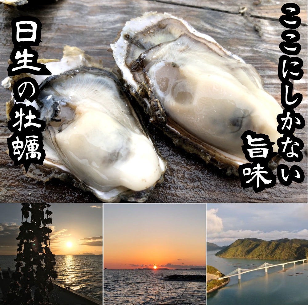 売れてます【未使用品　鉄板焼き　グリラー】幅６００　お好み焼きそば　餃子牡蠣祭り 未使用品 600幅 送料無料 鉄板焼器 屋台 お好み焼きそば