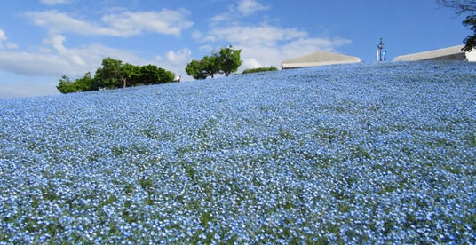 こうべアグリパーク 10年ぶりの来園者数21万人を突破 こうべアグリパーク 10年ぶりの来園者数21万人を突破